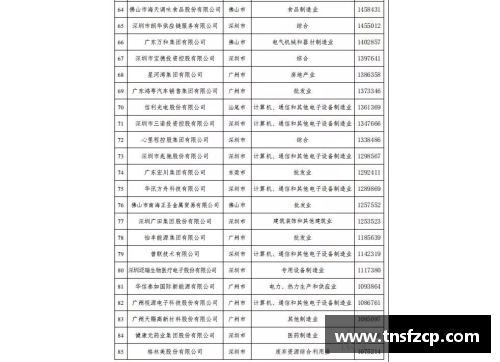 HB火博体育福建浔兴股份跻身福建省百强民营企业 - 副本